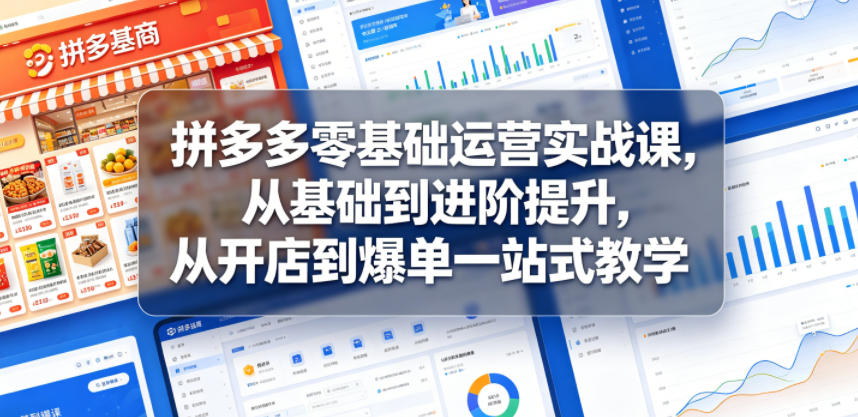 拼多多零基础运营实战课，从基础到进阶提升，从开店到爆单一站式教学-shxbox省心宝盒