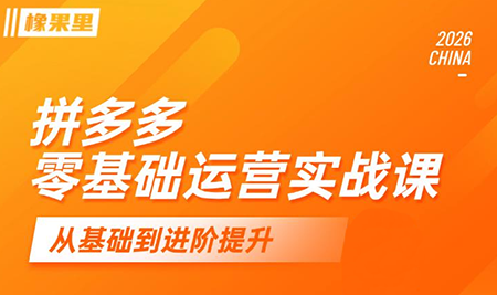 仙道电商·拼多多零基础运营实战课-shxbox省心宝盒