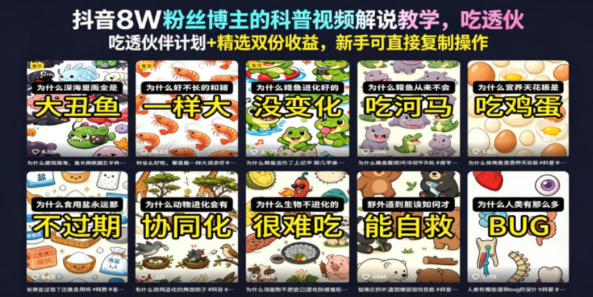 抖音8W粉丝博主的科普视频解说教学，吃透伙伴计划+精选双份收益，新手可直接复制操作-shxbox省心宝盒