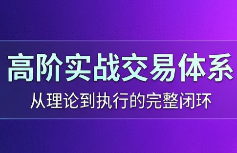 高老师·高阶实战交易体系(更新6月)-shxbox省心宝盒