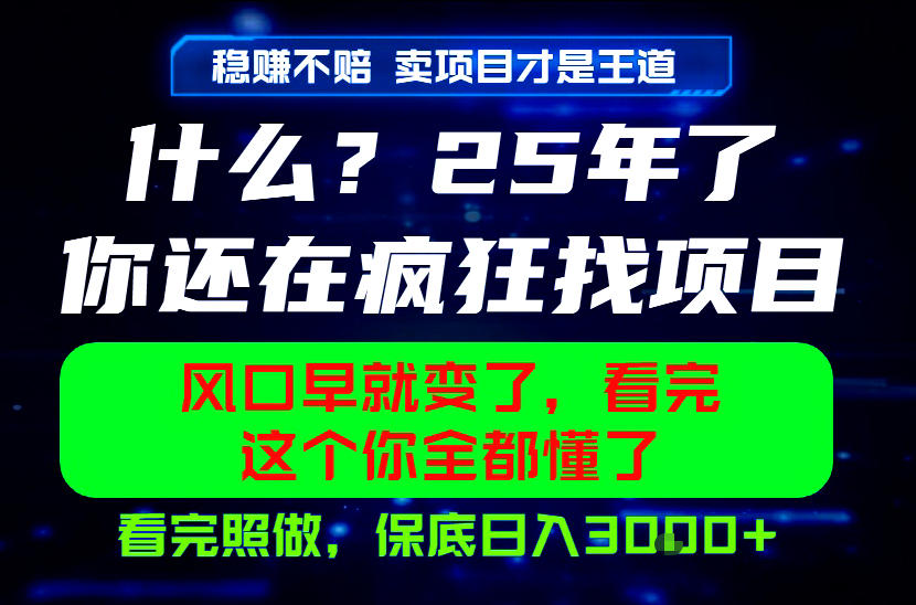 26年，请不要疯狂的找项目做了！卖项目才是真的稳賺不赔，看完照做，保底日入1k+【揭秘】-shxbox省心宝盒