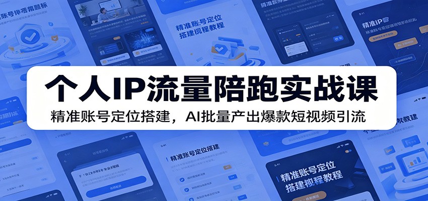 个人IP流量陪跑实战课：精准账号定位搭建，AI批量产出爆款短视频引流-shxbox省心宝盒