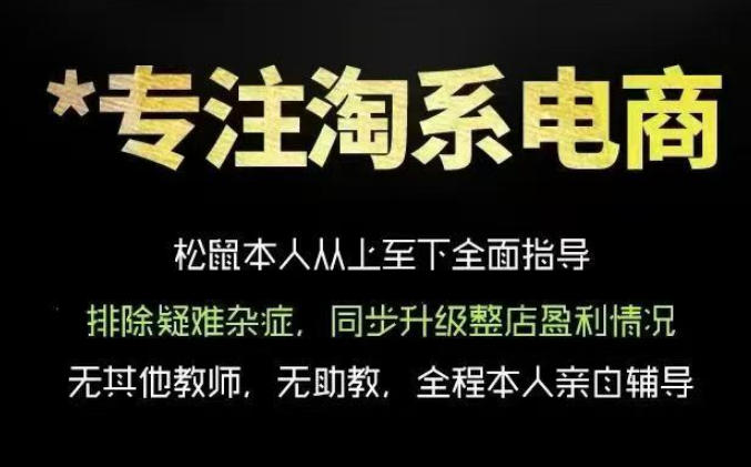 松鼠会电商VIP课程，从基础布局到高阶优化，助你掌握淘宝运营逻辑，提升店铺流量与转化-shxbox省心宝盒