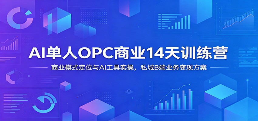 AI单人OPC商业14天训练营：商业模式定位与AI工具实操，私域B端业务变现方案-shxbox省心宝盒