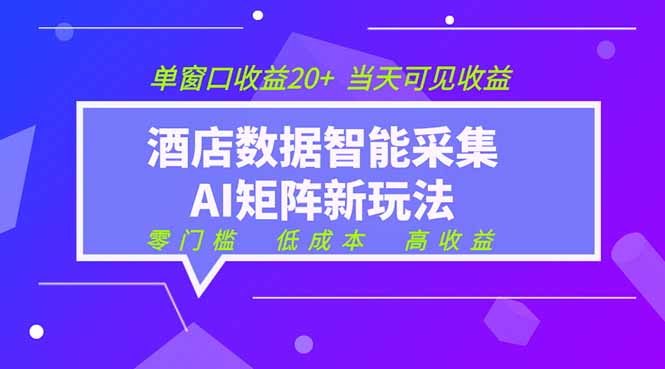2026酒店数据采集ai智能矩阵新风口  低成本   高收益   当天见收益   单窗口20+-shxbox省心宝盒