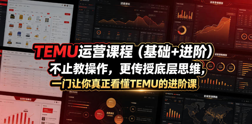 TEMU运营课程(基础+进阶)，不止教操作，更传授底层思维，一门让你真正看懂TEMU的进阶课-shxbox省心宝盒