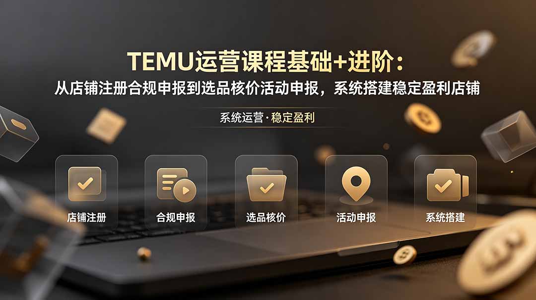 TEMU运营课程(基础+进阶-shxbox省心宝盒