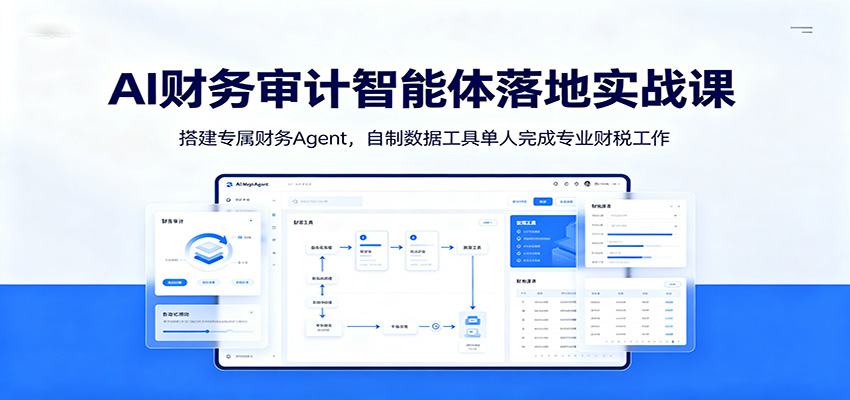 AI财务审计智能体落地实战课：搭建专属财务Agent，自制数据工具单人完成专业财税工作-shxbox省心宝盒