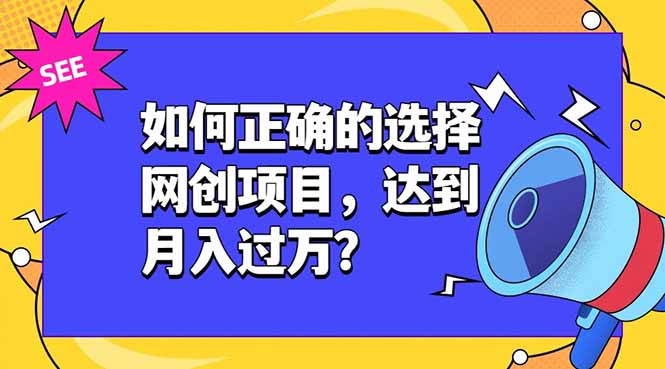 如何正确的选择网创项目，达到月入过万？，本课程教你正确选择项目。-shxbox省心宝盒