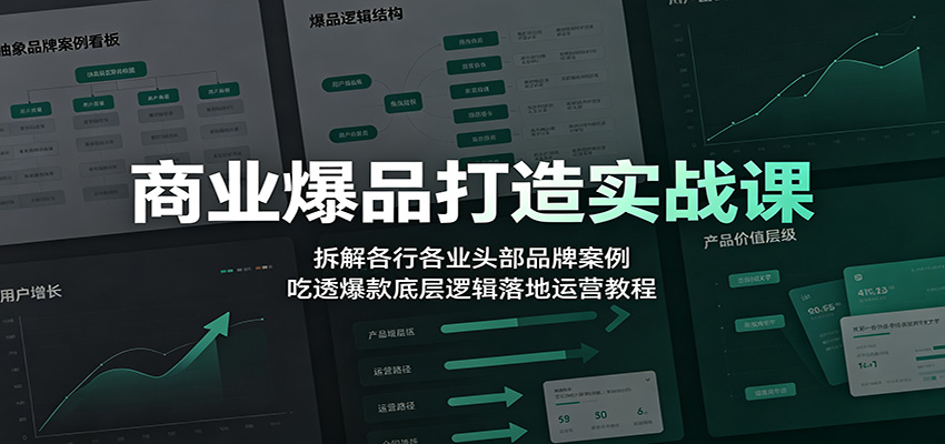 商业爆品打造实战课：拆解各行各业头部品牌案例，吃透爆款底层逻辑落地运营教程-shxbox省心宝盒