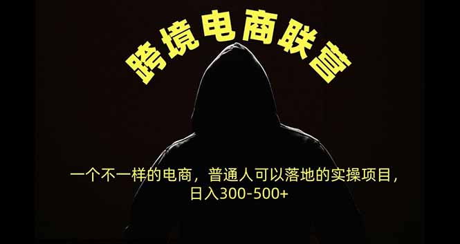 跨境电商联营，一个不一样的电商，普通人可操作日入300-500+-shxbox省心宝盒