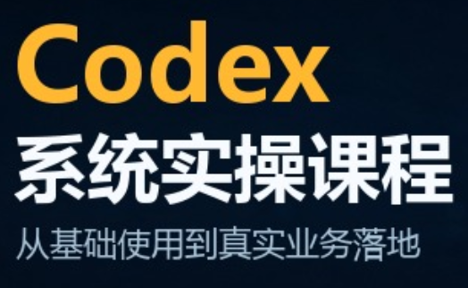 codex系统实操课程(更新10月)-shxbox省心宝盒