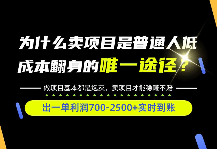 普通人如何靠互联网賺取自己的第一桶金！全类目实操型教学，看完你全都懂了！【揭秘】-shxbox省心宝盒