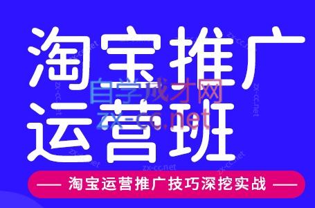 美迪电商·淘宝高级运营班+推广运营班(更新10月)-shxbox省心宝盒