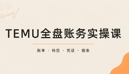 TEMU全盘账务实操课：账单导出、科目设置、利润核算-shxbox省心宝盒