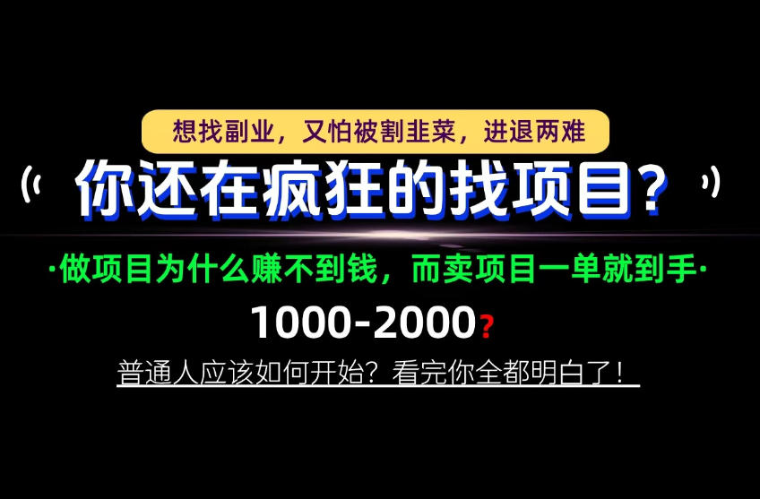 你还在疯狂的找项目？别傻了！卖项目才是真正的一本万利！怎么做，看完你全都明白！【揭秘】-shxbox省心宝盒