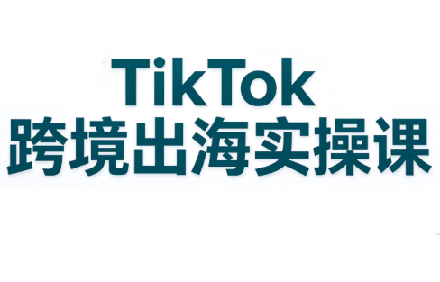 彭老师·TikTok跨境出海实操课-shxbox省心宝盒