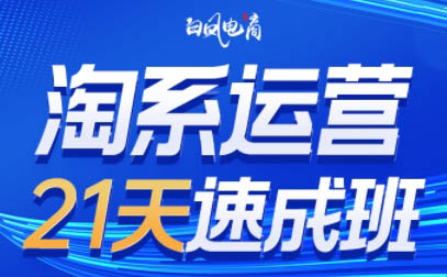 白凤电商·淘系运营21天速成班(更新10月)-shxbox省心宝盒