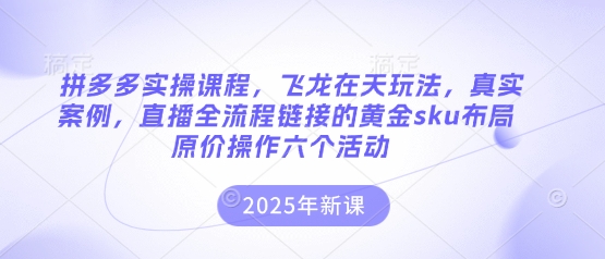 拼多多实操课程，飞龙在天玩法，真实案例，直播全流程链接的黄金sku布局原价操作六个活动-shxbox省心宝盒