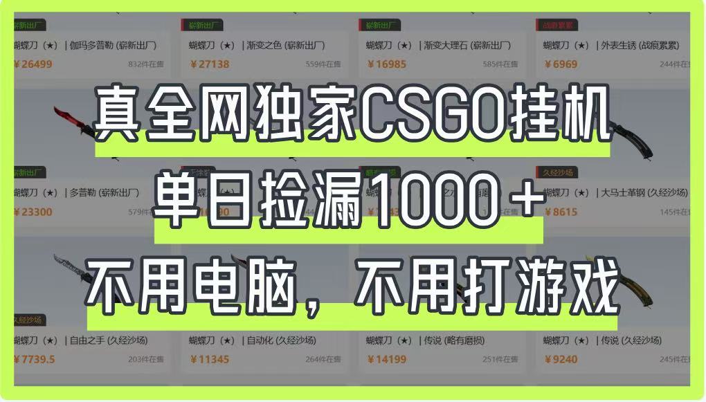 真全网独家CSGO挂机，单日捡漏1000+，不用电脑，不用养号-shxbox省心宝盒