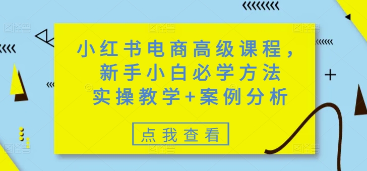 小红书电商高级课程，新手小白必学方法，实操教学+案例分析-shxbox省心宝盒