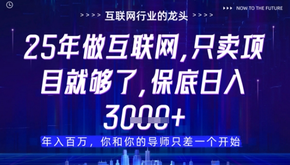 什么！25年你还在找项目做？风口早就变了，卖项目才是稳挣不赔【揭秘】-shxbox省心宝盒