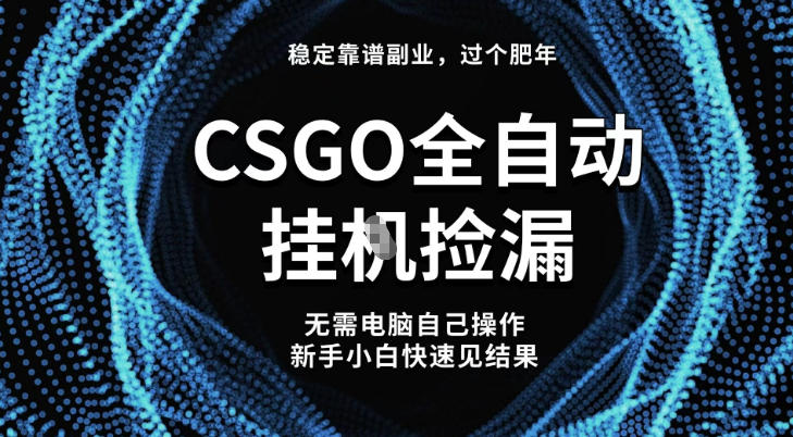 【稳定副业】全球最热门游戏CSGO全自动捡漏，最新玩法，新手小白日入5张+【揭秘】-shxbox省心宝盒