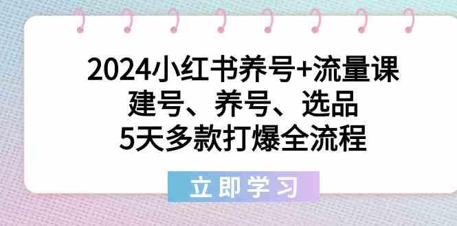 2024小红书养号+流量课：建号、养号、选品，5天多款打爆全流程-shxbox省心宝盒