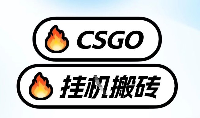 真全网独家CSGO挂G，最新玩法,单日捡漏1K+，不用电脑，不用打游戏【揭秘】-shxbox省心宝盒