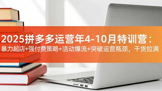 2025拼多多运营年4-10月特训营：暴力起店+强付费策略+活动爆流+突破运营瓶颈，干货拉满-shxbox省心宝盒