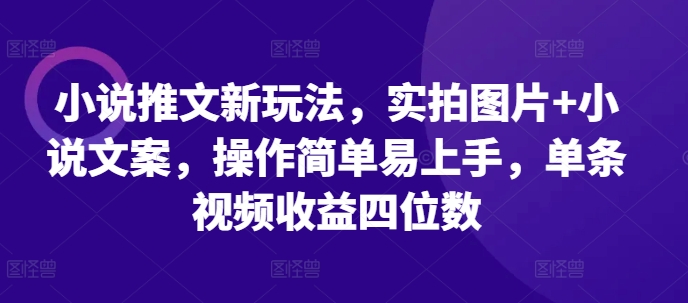 小说推文新玩法，实拍图片+小说文案，操作简单易上手，单条视频收益四位数-shxbox省心宝盒