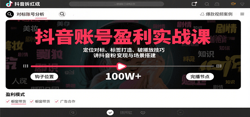 抖音账号盈利实战课，定位对标、标签打造、破播放技巧，讲涨粉变现与场景搭建-shxbox省心宝盒