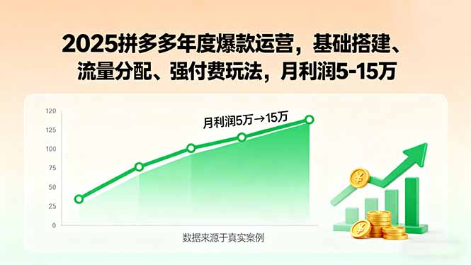 2025拼多多年度爆款运营，基础搭建、流量分配、强付费玩法，月利润5-15万-shxbox省心宝盒