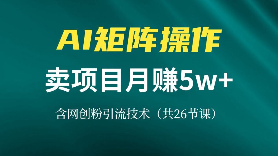 网创IP打造课，借助AI卖项目月赚5万+，含引流技术(共26节课-shxbox省心宝盒