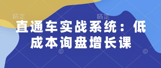 直通车实战系统：低成本询盘增长课，让个人通过技能实现升职加薪，让企业低成本获客，订单源源不断-shxbox省心宝盒
