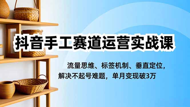 抖音手工赛道运营实战课，流量思维、标签机制、垂直定位，解决不起号难题，单月变现破3万-shxbox省心宝盒