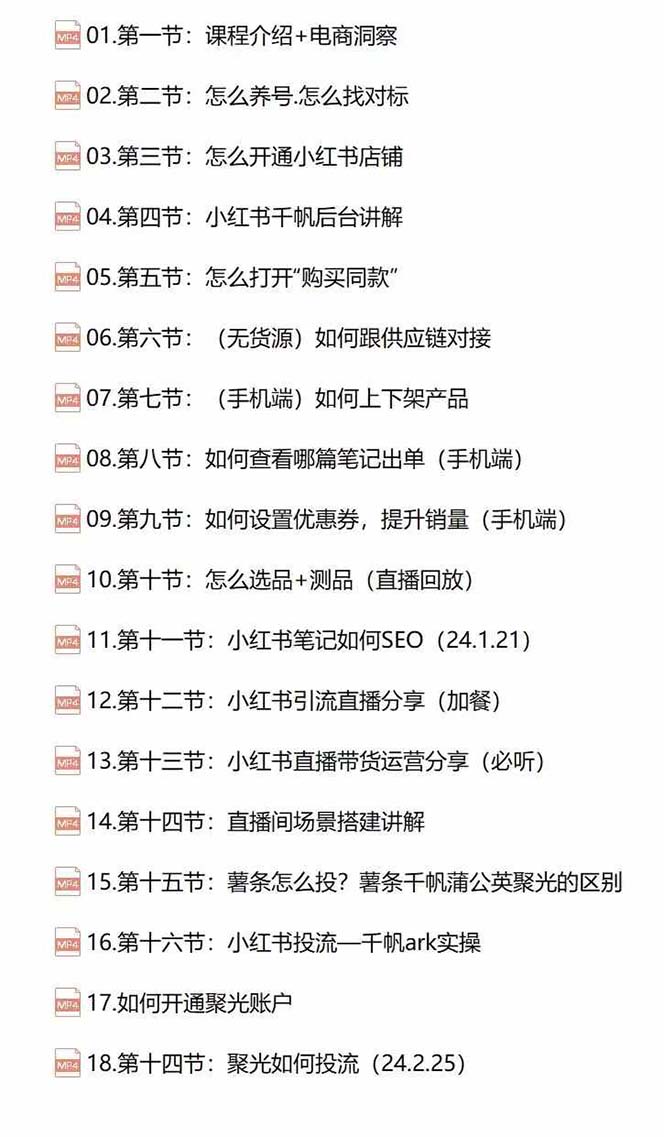 小红书快速赚钱电商特训营：用简单方式通过小红书快速变现！-shxbox省心宝盒