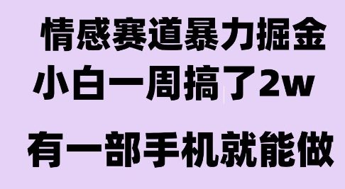 情感暴力掘金项目，新人操作一周挣了2W，长期稳定小白可做【揭秘】-shxbox省心宝盒