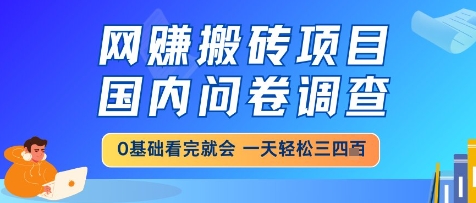 网创搬砖项目，国内问卷调查，小白轻松上手，一天三四张的也不难，干就完了【揭秘】-shxbox省心宝盒