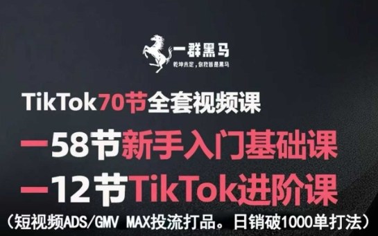 TikTok全套视频课,新手入门+进阶课,短视频ADS-GMV MAX投流打品,日销破1000单打法-shxbox省心宝盒