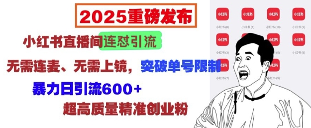 2025重磅发布：小红书直播间连怼引流，无需连麦、无需上镜，突破单号限制，暴力日引流600+-shxbox省心宝盒