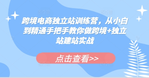 跨境电商独立站训练营，从小白到精通手把手教你做跨境+独立站建站实战-shxbox省心宝盒