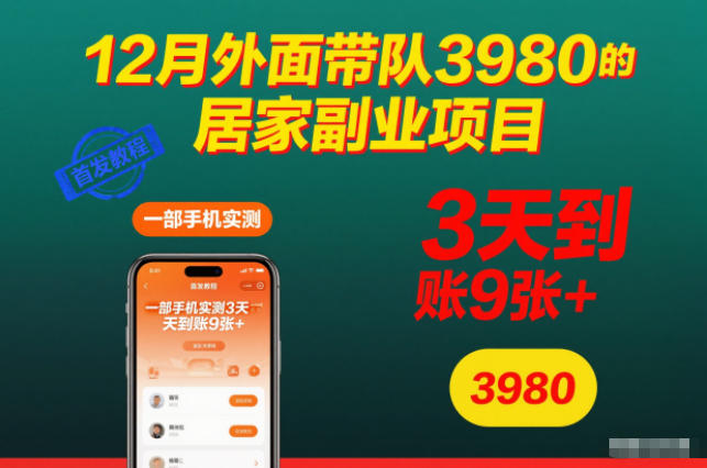12月外面带队3980的居家副业项目，一部手机实测3天到账9张+，首发教程【揭秘】-shxbox省心宝盒