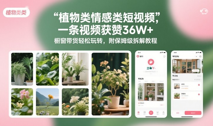植物类情感类短视频，一条视频获赞36W+，橱窗带货轻松玩转，附保姆级拆解教程-shxbox省心宝盒