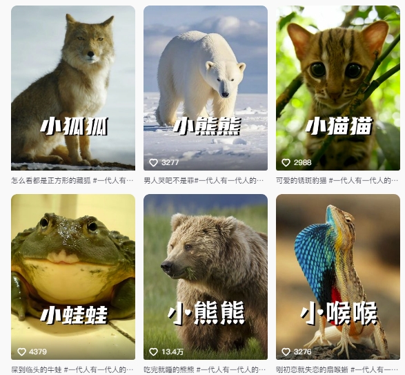 最新搞笑动物百科详细解说课程，蓝海赛道，流量非常大，轻松签独家进精选-shxbox省心宝盒