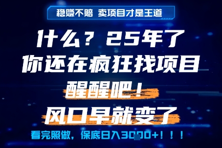 什么？25年你还在疯狂找项目做，醒醒吧，看完这些你全都懂了！【揭秘】-shxbox省心宝盒