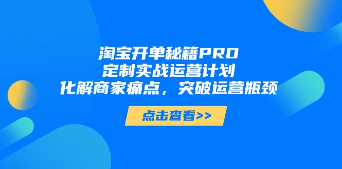 淘宝开单秘籍PRO，定制实战运营计划，化解商家痛点，突破运营瓶颈-shxbox省心宝盒