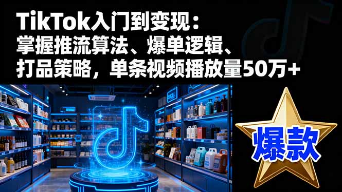 TikTok入门到变现：掌握推流算法、爆单逻辑、打品策略，单条视频播放量50w-shxbox省心宝盒