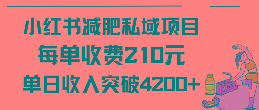(9466期)小红书减肥私域项目每单收费210元单日成交20单，最高日入4200+-shxbox省心宝盒