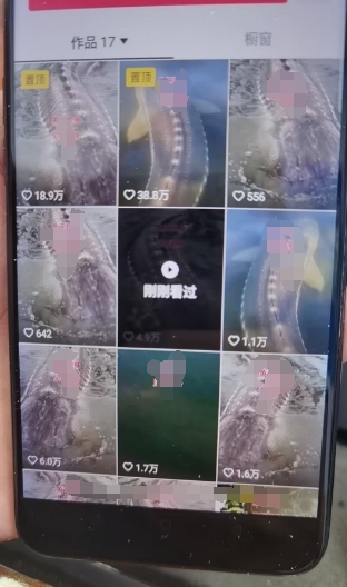 外面卖399的国学佛像原创暴力起号技术，快速起号，7天可达到一个万粉号-shxbox省心宝盒